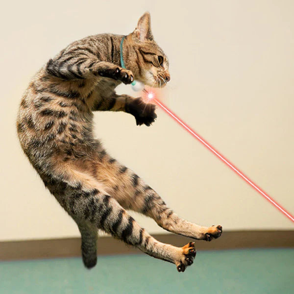 Collar Láser Inteligente Gatuno – Diversión, Ejercicio y Estimulación para tu Michi
