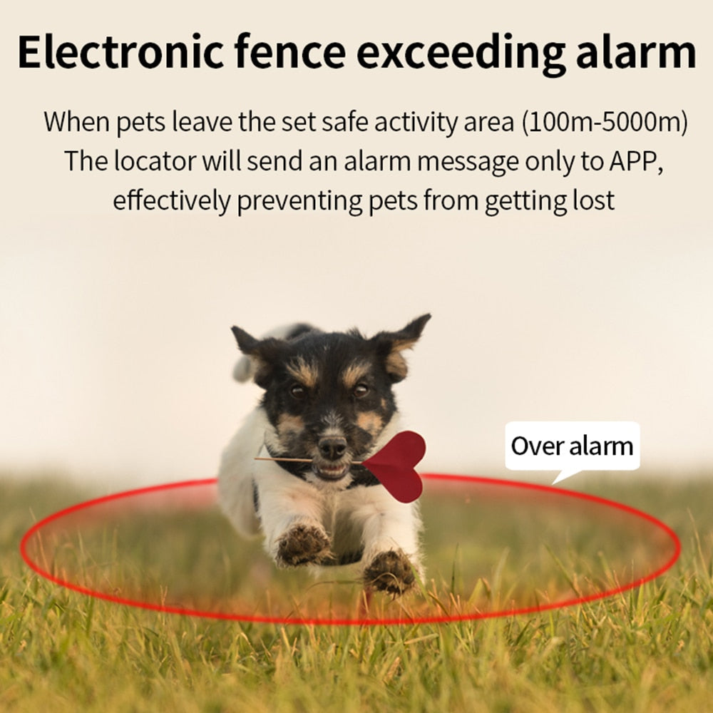 Collar GPS PetTrack