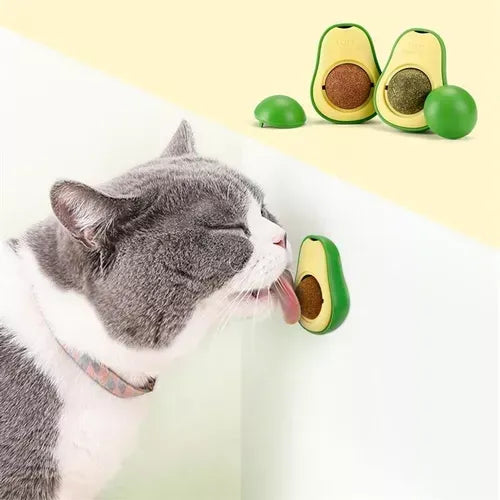 PaltaCat – Diversión, Salud y Felicidad Para Tu Michi