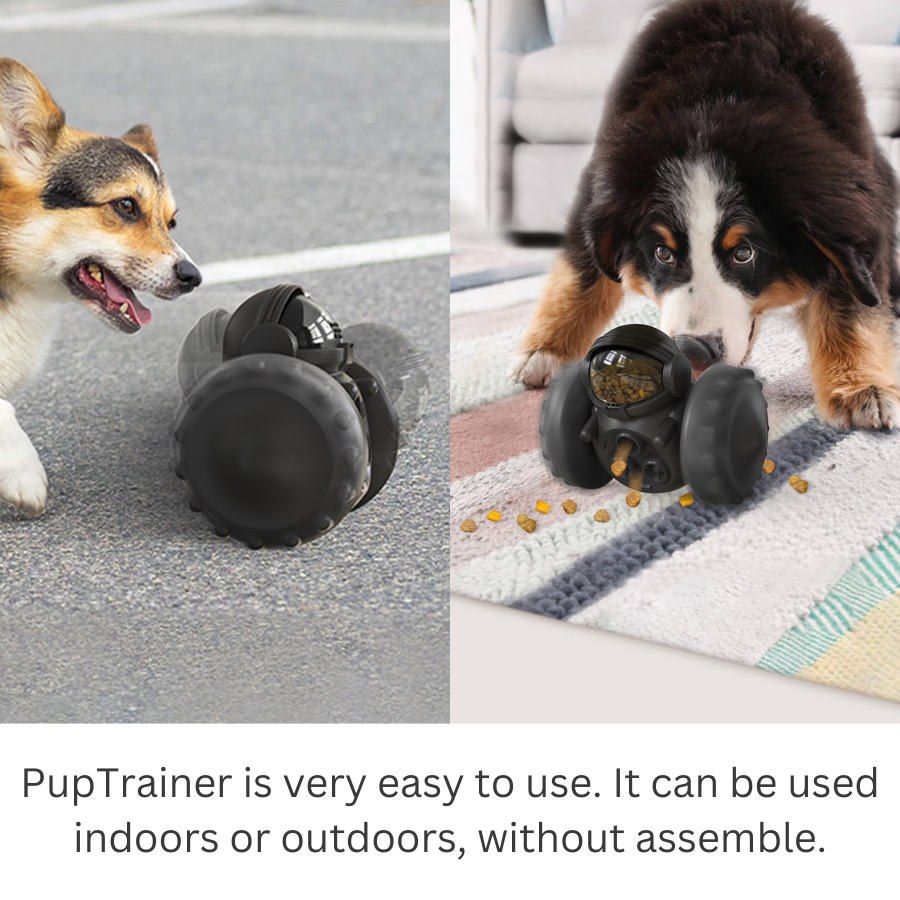 Juguete Interactivo PupTrainer