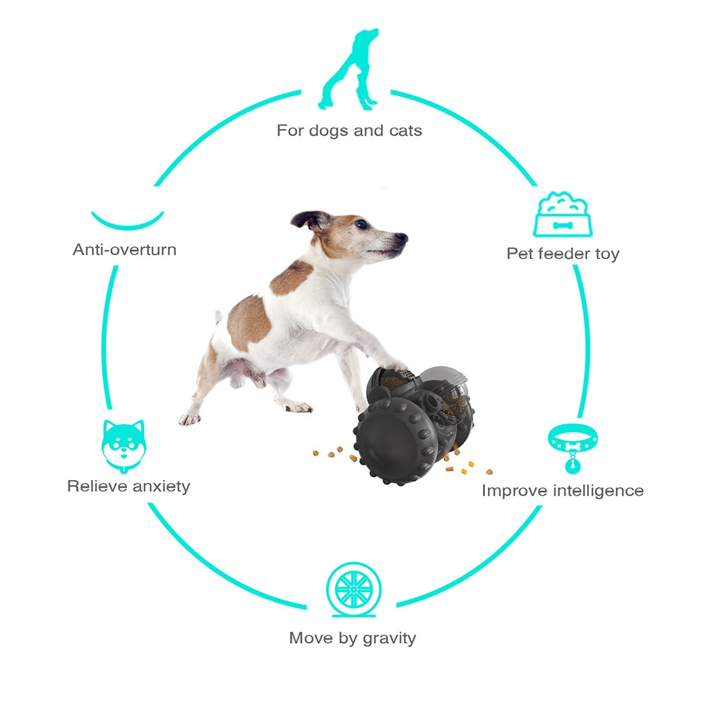 Juguete Interactivo PupTrainer