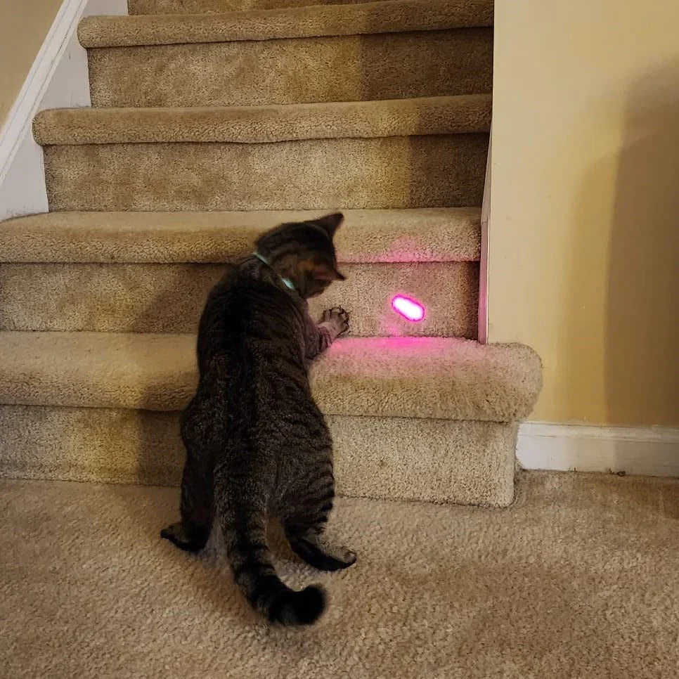 Collar Láser Inteligente Gatuno – Diversión, Ejercicio y Estimulación para tu Michi
