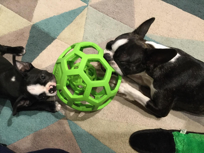 Pelotita Hol-ee Roller Interactiva - Diversión y Desafío en una Sola Pelota