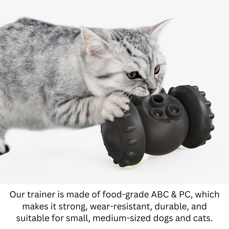 Juguete Interactivo PupTrainer